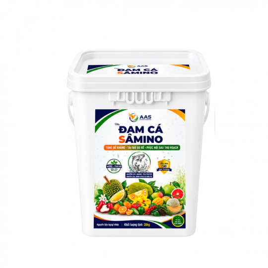 ĐẠM CÁ SAMINO