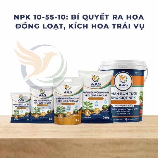 NPK 10-55-10: BÍ QUYẾT RA HOA ĐỒNG LOẠT, KÍCH HOA TRÁI VỤ